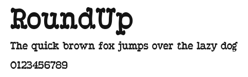 RoundUp Preview