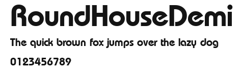 RoundHouseDemi Preview