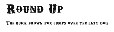 Round Up Preview