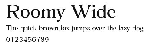 Roomy Wide Preview