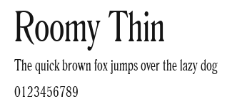Roomy Thin Preview