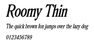 Roomy Thin Preview