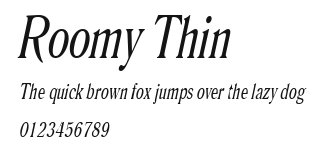 Roomy Thin Preview