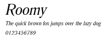 Roomy Preview
