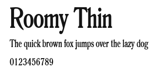 Roomy Thin Preview