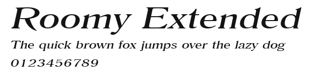 Roomy Extended Preview