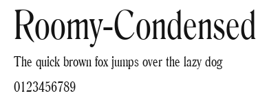 Roomy-Condensed Preview