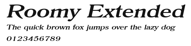 Roomy Extended Preview