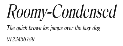 Roomy-Condensed Preview
