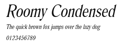 Roomy Condensed Preview
