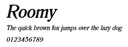 Roomy Preview