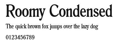 Roomy Condensed Preview