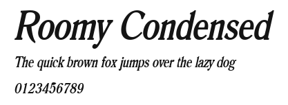 Roomy Condensed Preview