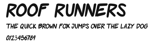 Roof runners Preview