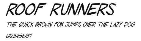 Roof runners Preview