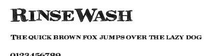 RinseWash Preview
