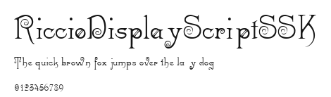 RiccioDisplayScriptSSK Preview