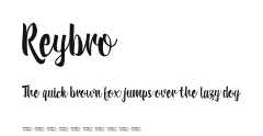 Reybro Preview