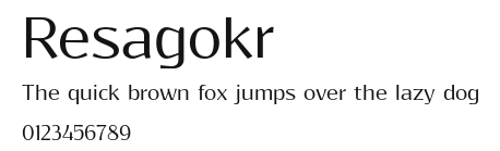 Resagokr Preview