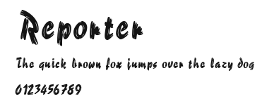 Reporter Preview