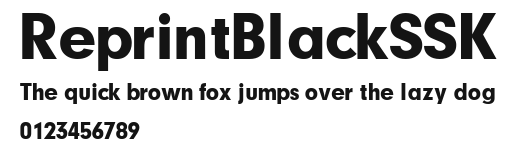 ReprintBlackSSK Preview