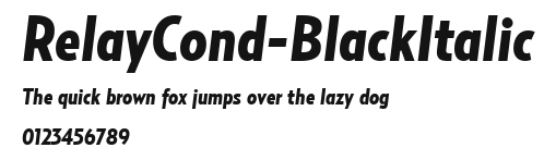 RelayCond-BlackItalic Preview
