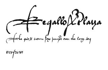 RegalloAPlaya Preview
