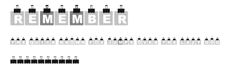 Remember Preview