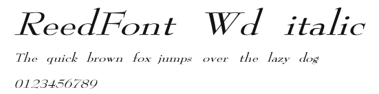 ReedFont Wd italic Preview