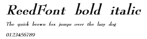 ReedFont bold italic Preview