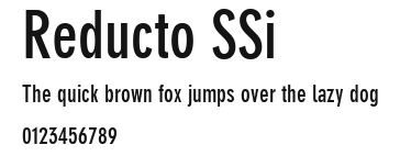 Reducto SSi Preview