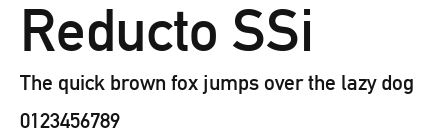 Reducto SSi Preview