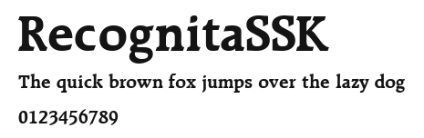 RecognitaSSK Preview