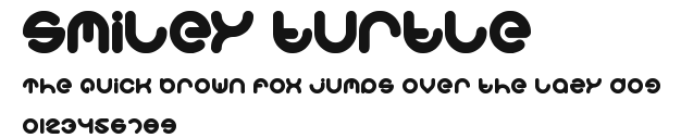 smiley turtle Preview