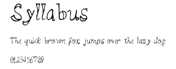 Syllabus Preview