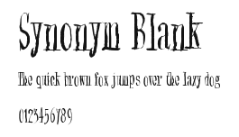 Synonym Blank Preview