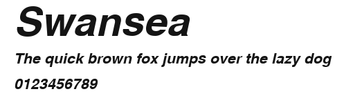 Swansea Preview