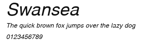 Swansea Preview