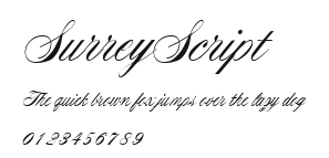 SurreyScript Preview