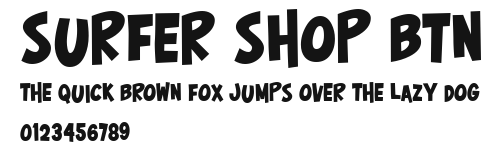 Surfer Shop BTN Preview