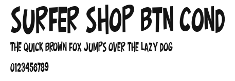 Surfer Shop BTN Cond Preview