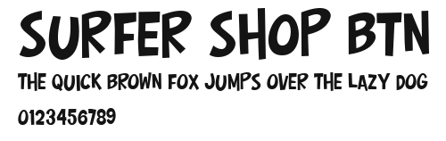 Surfer Shop BTN Preview