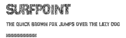SurfPoint Preview