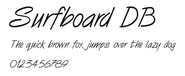 Surfboard DB Preview