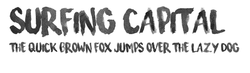 Surfing Capital Preview