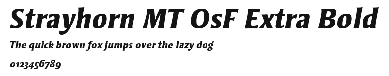 Strayhorn MT OsF Extra Bold Preview