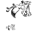 Storch Preview
