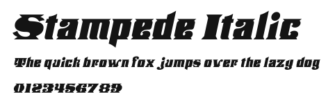 Stampede Italic Preview