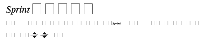 Sprint Preview