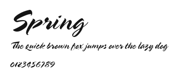 Spring Preview